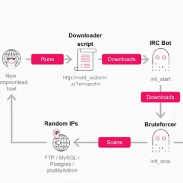GoBruteforcer Botnet: Kripto Proje Veritabanlarına Yönelik Gelişmiş Kaba Kuvvet Saldırıları
