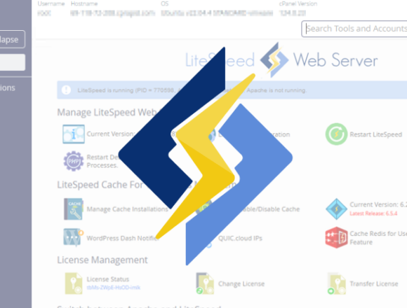 LiteSpeed cPanel Eklentisinde Kritik Yetki Yükseltme Açığı Aktif Olarak İstismar Ediliyor