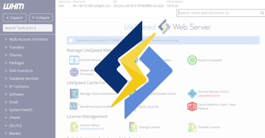 LiteSpeed cPanel Eklentisinde Kritik Yetki Yükseltme Açığı Aktif Olarak İstismar Ediliyor