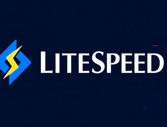 LiteSpeed cPanel Eklentisinde Kritik Yetki Yükseltme Açığı Tespit Edildi